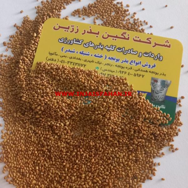 فروش بذر یونجه بوجاری شده با قیمت دست اول